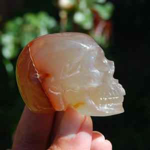 Carnelian Agate Crystal Skull