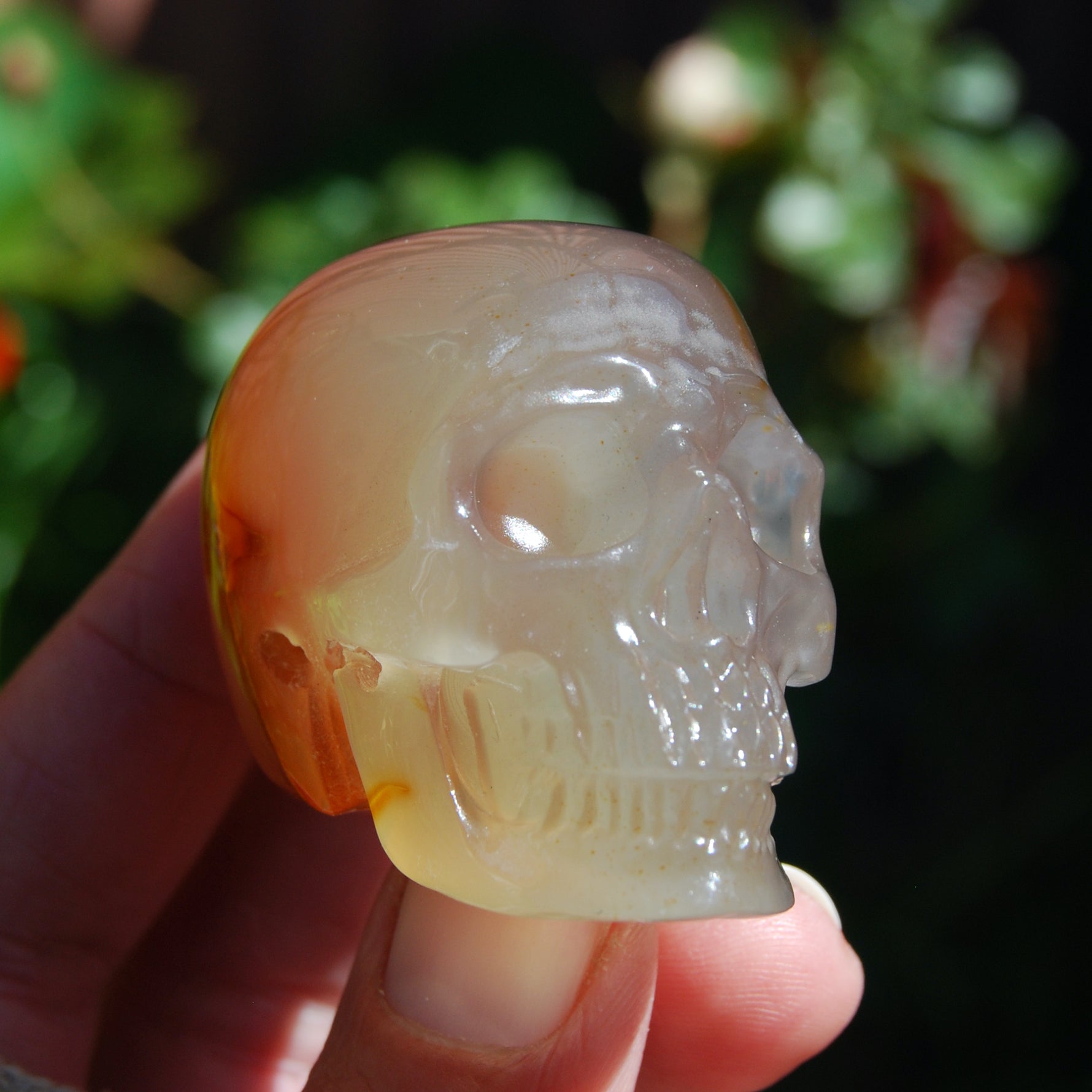 Carnelian Agate Crystal Skull