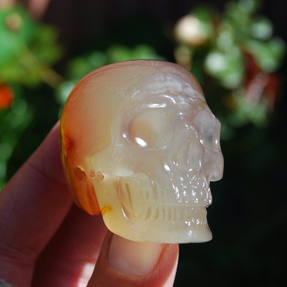 Carnelian Agate Crystal Skull