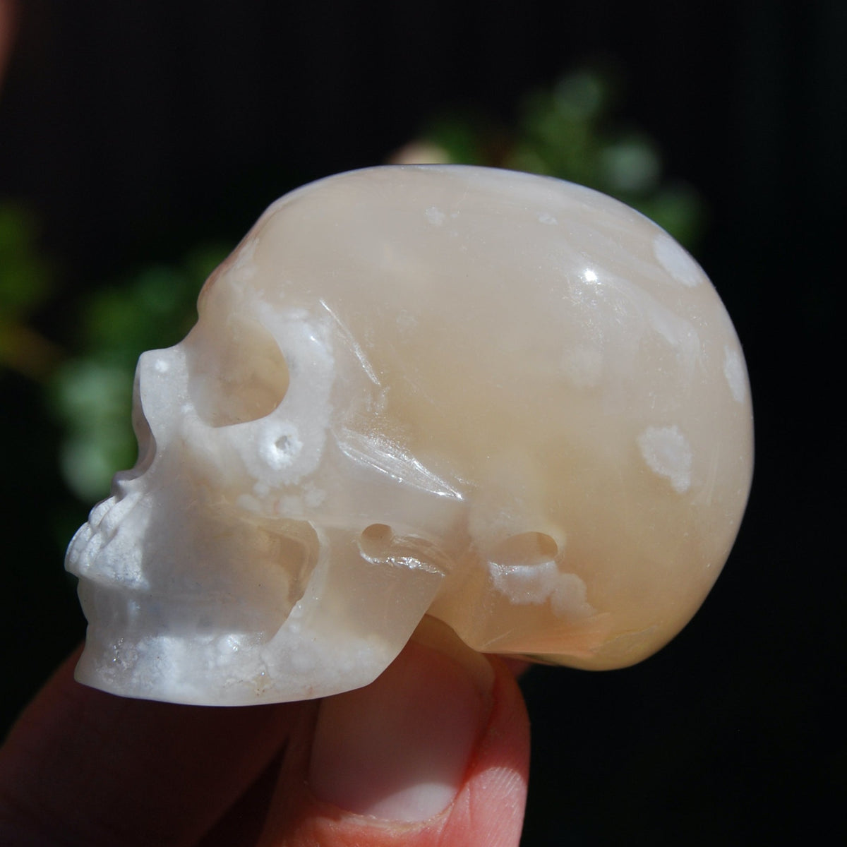 Flower Agate Sakura Agate Geode Crystal Skull Realistic 