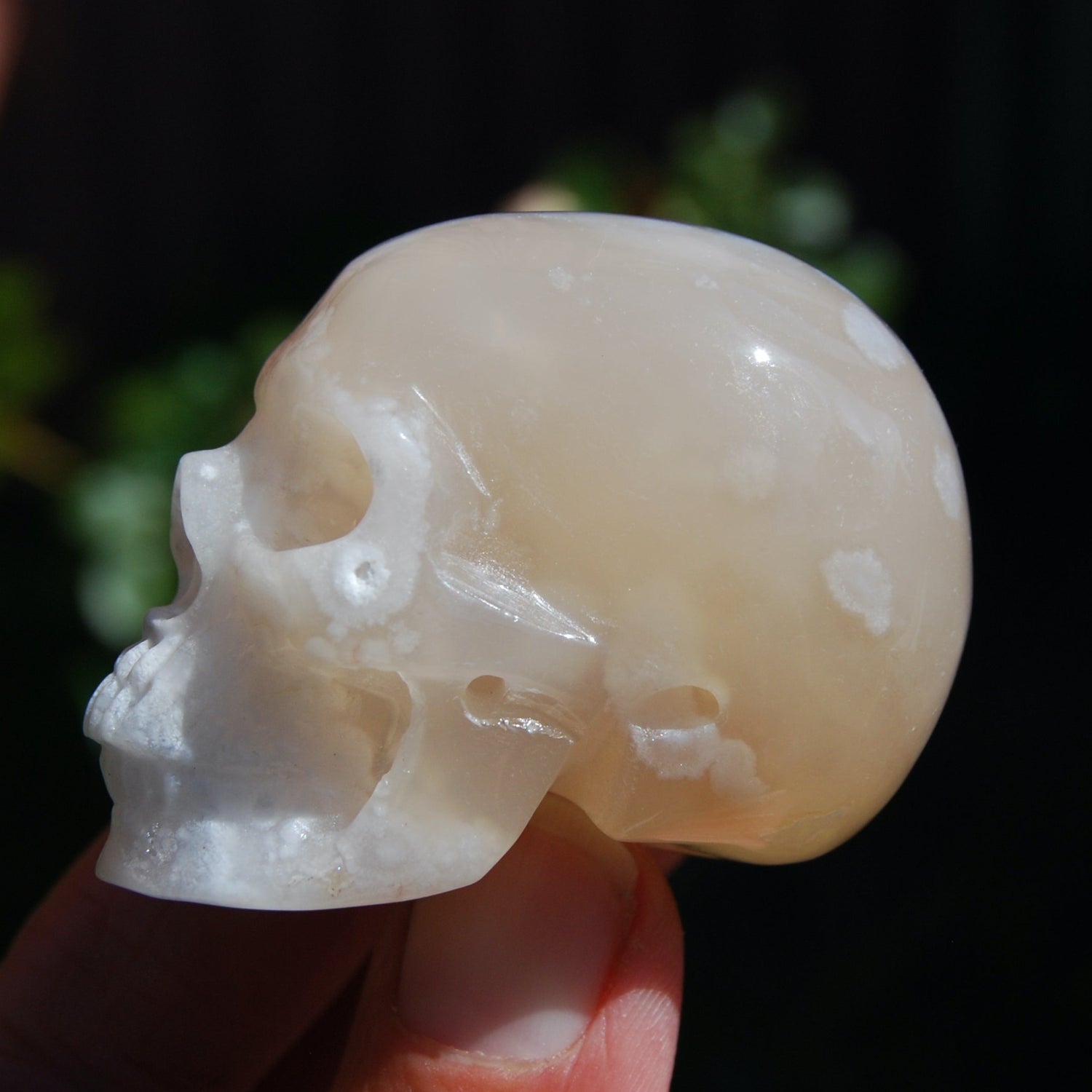 Flower Agate Sakura Agate Geode Crystal Skull Realistic 