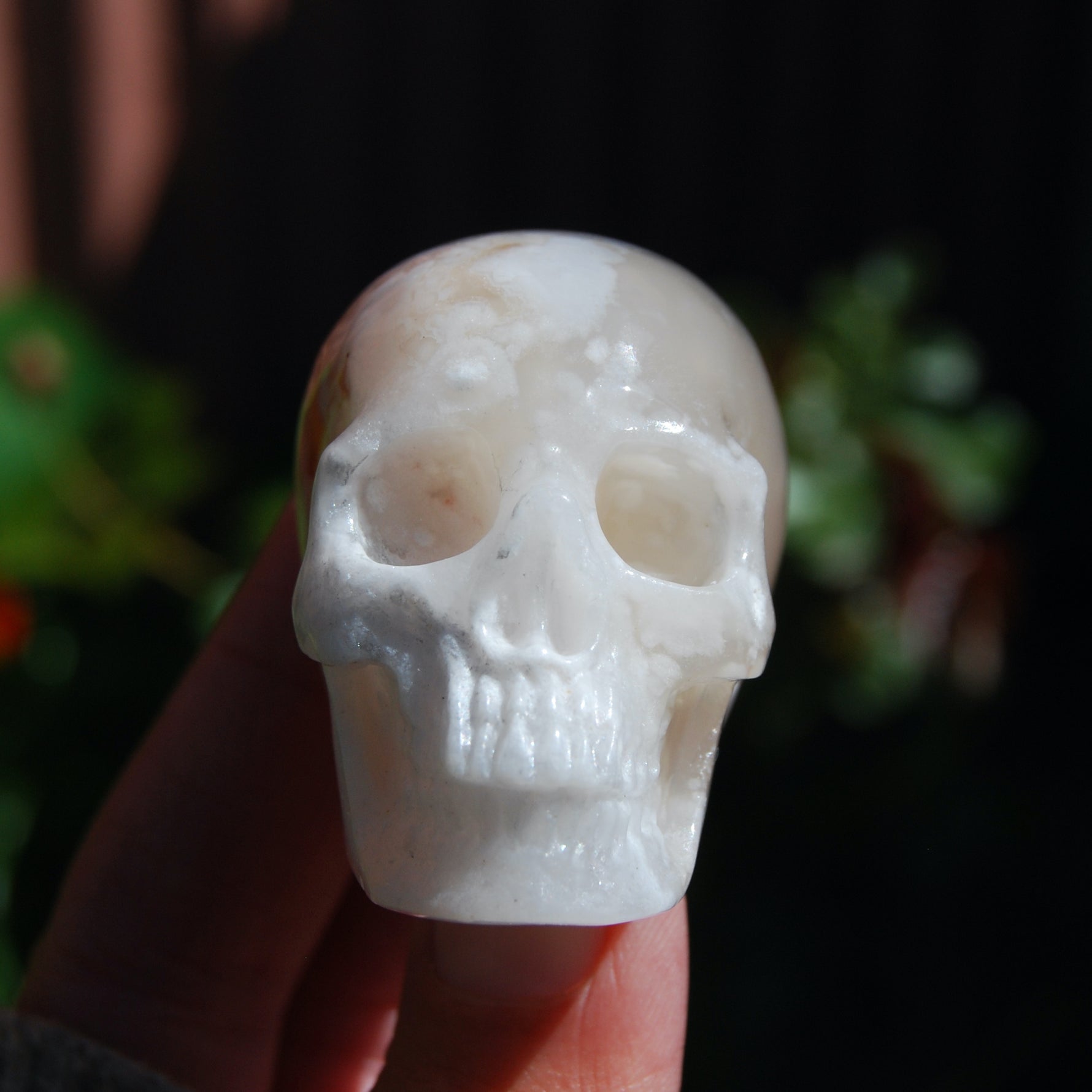 Flower Agate Sakura Agate Geode Crystal Skull Realistic 