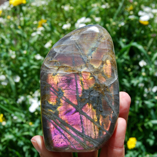 Purple Labradorite Crystal Free Form, Pink Labradorite, Large Labradorite 