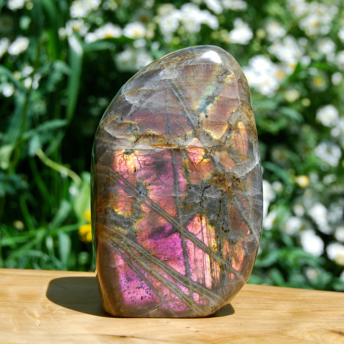 Purple Labradorite Crystal Free Form, Pink Labradorite, Large Labradorite 