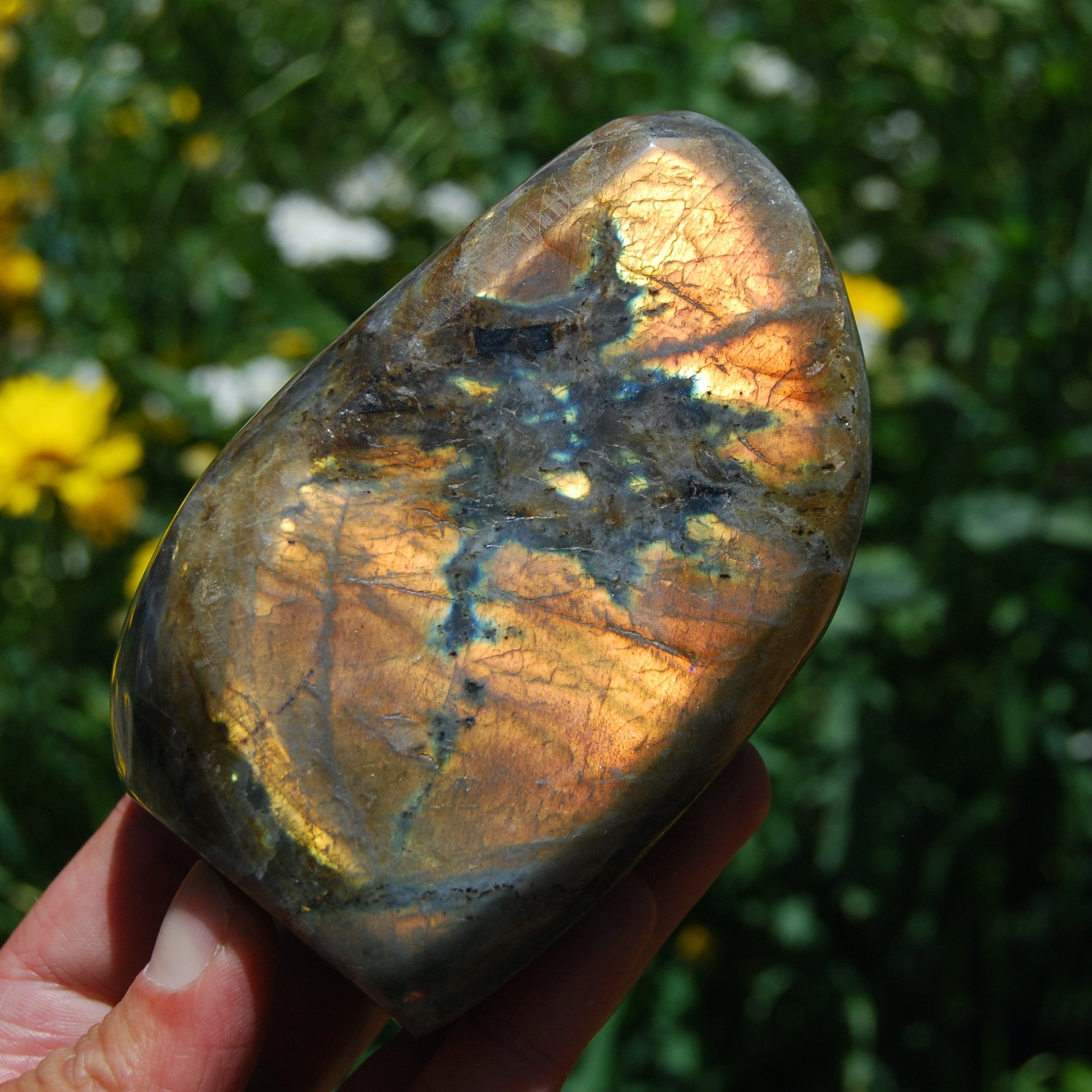 Purple Labradorite Crystal Free Form, Pink Labradorite, Large Labradorite 