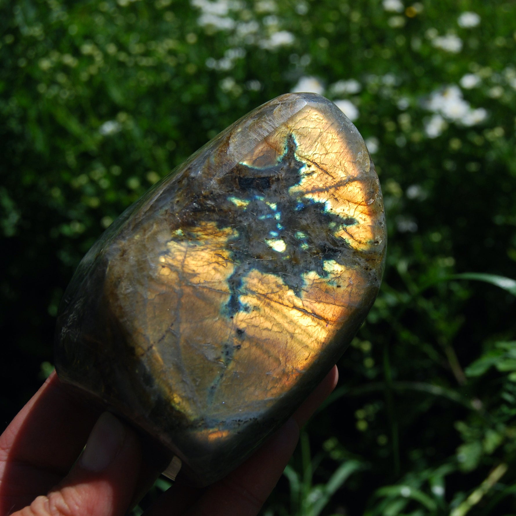 Purple Labradorite Crystal Free Form, Pink Labradorite, Large Labradorite 