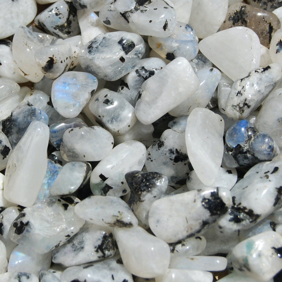 Rainbow Moonstone Crystal Small Tumbled Stones