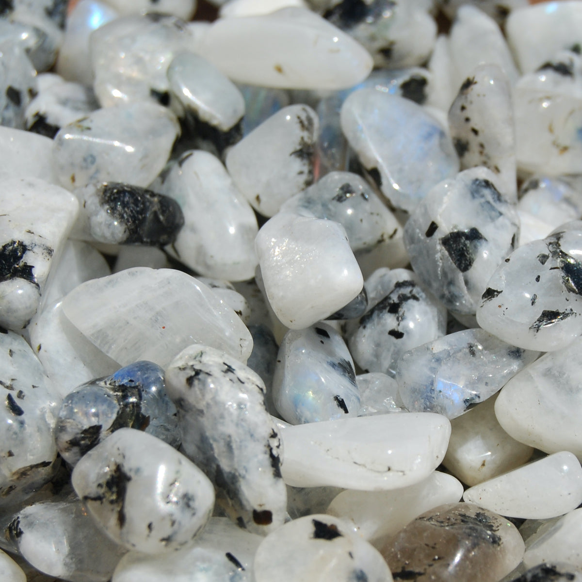 Rainbow Moonstone Crystal Small Tumbled Stones