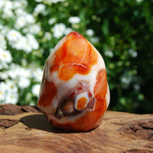 Load image into Gallery viewer, Carnelian Geode Crystal Flame 

