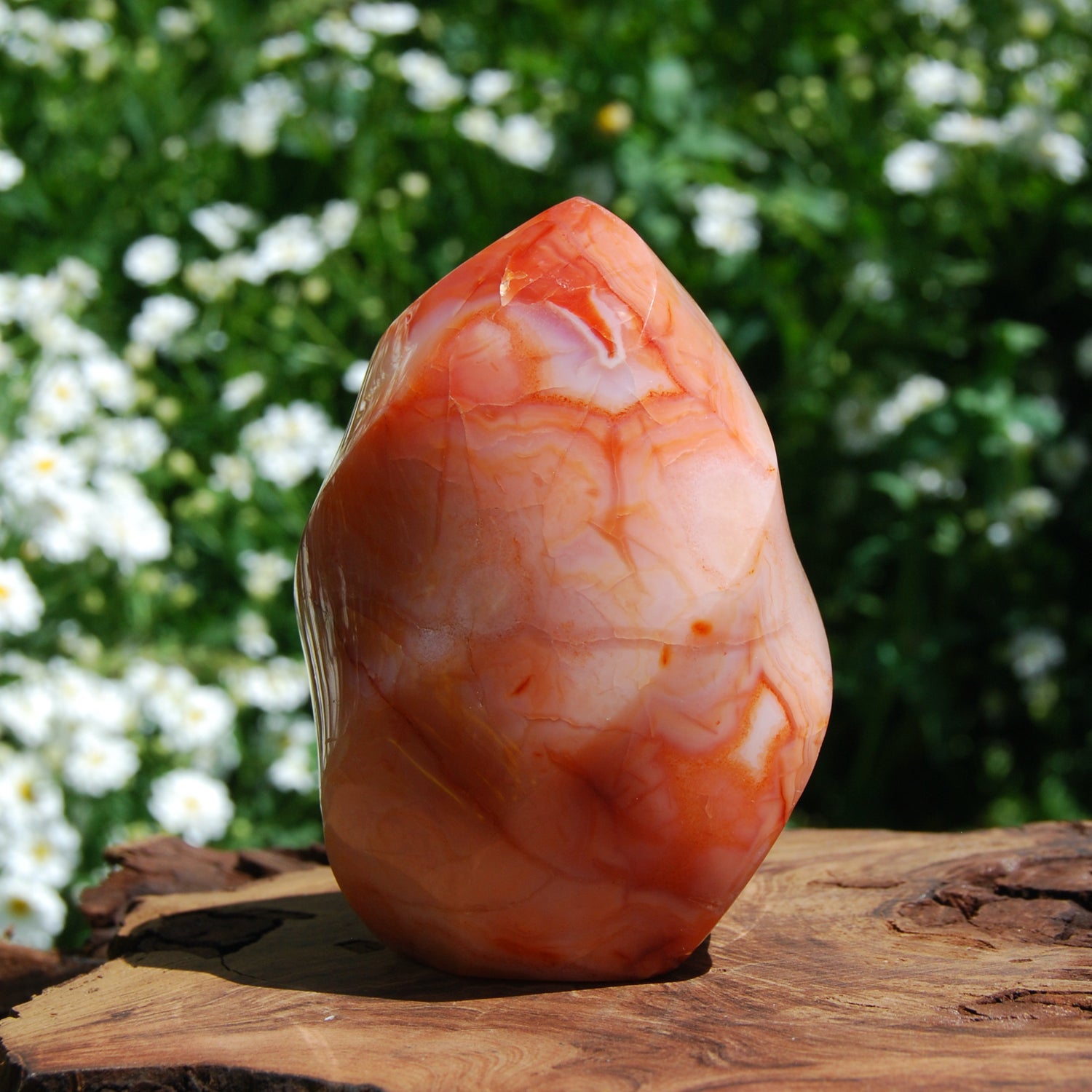 Carnelian Crystal Geode Flame Tower from Madagascar, Large Carnelian