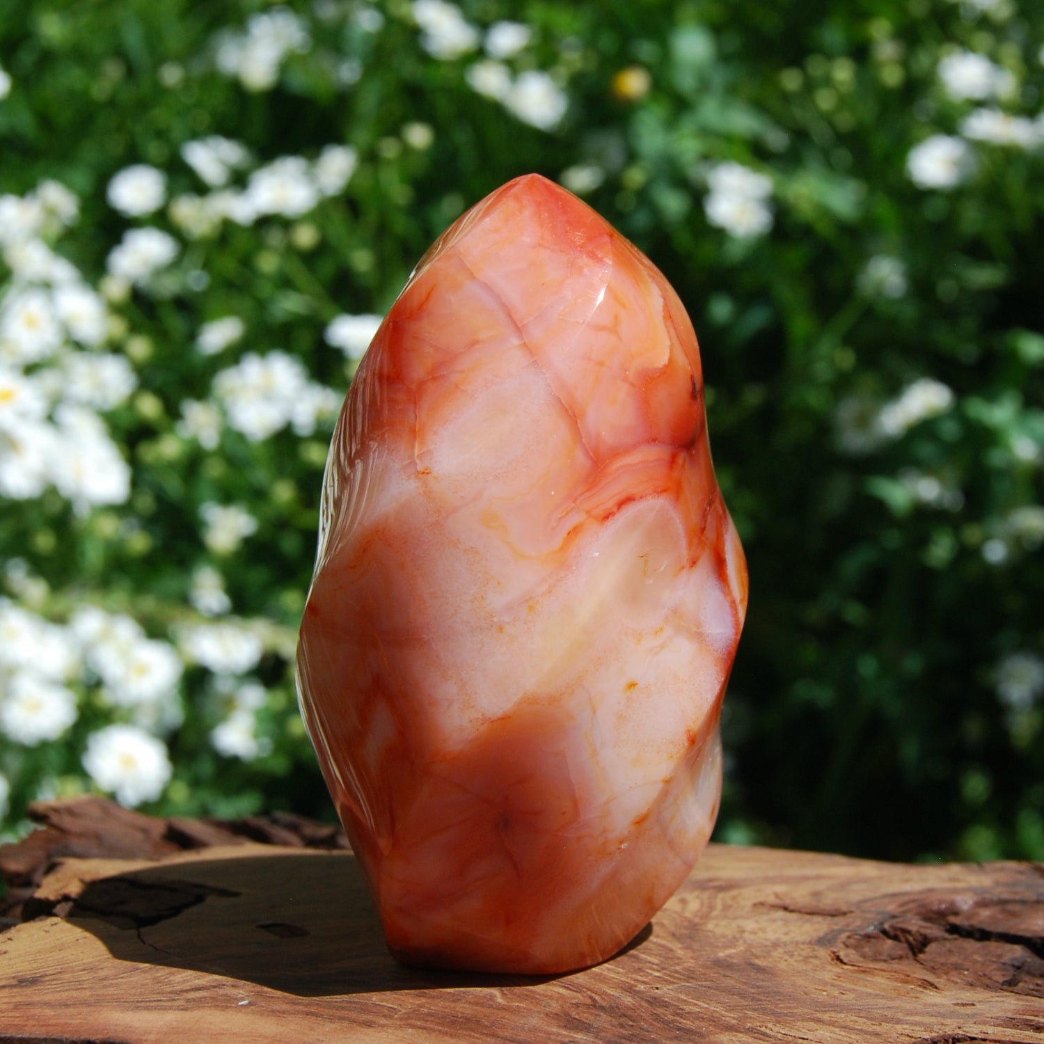 Carnelian Crystal Geode Flame Tower from Madagascar, Large Carnelian