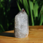 Scenic Lodolite Crystal Tower Garden Quartz