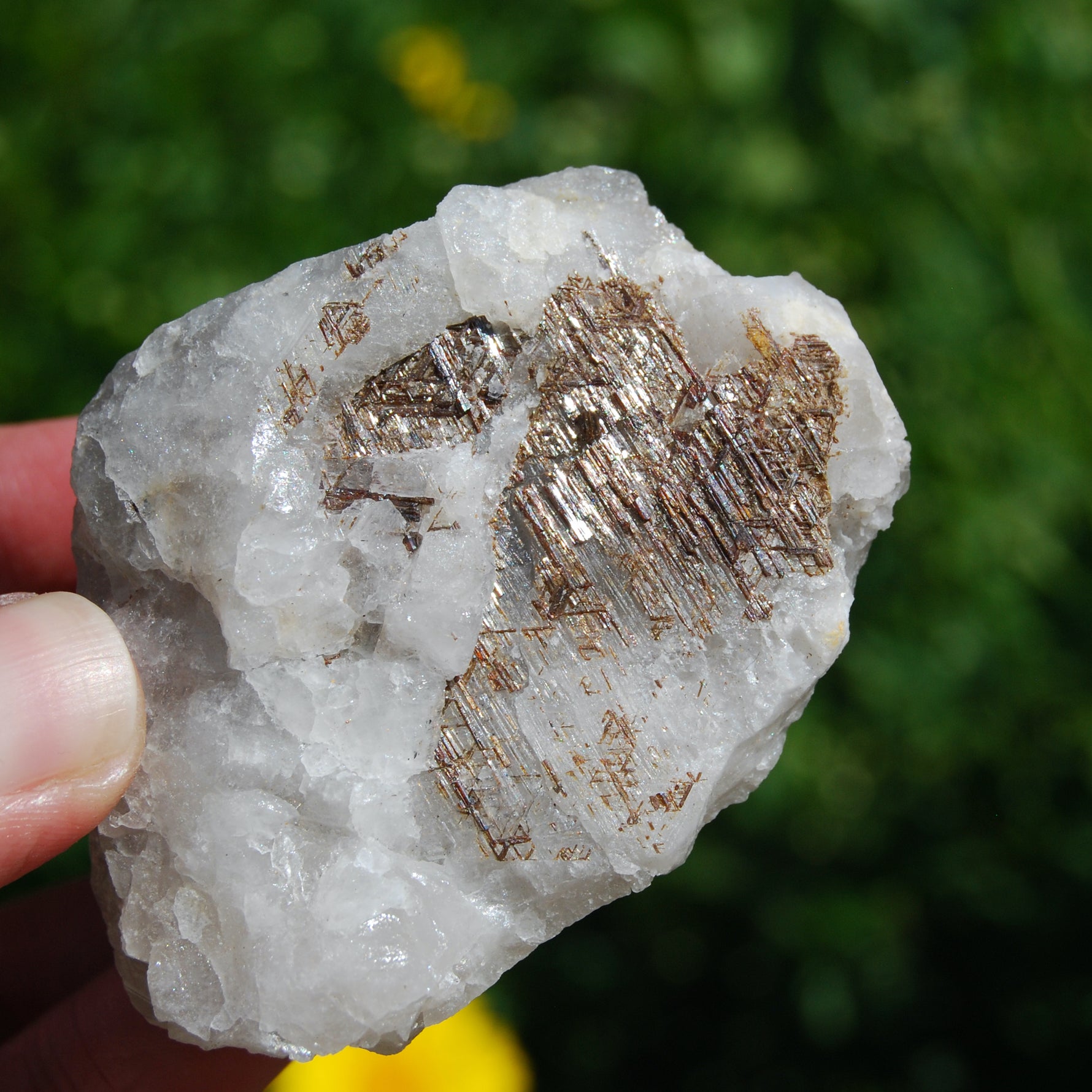 Sagenite Rutile on Quartz Matrix Crystal Specimen