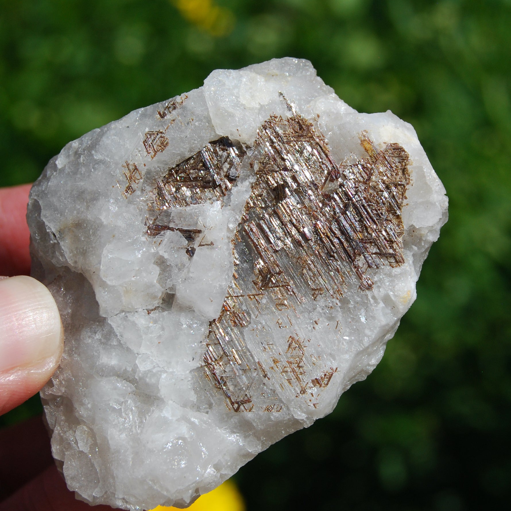Sagenite Rutile on Quartz Matrix Crystal Specimen