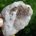 Sagenite Rutile on Quartz Matrix Crystal Specimen