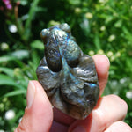 Labradorite Carved Crystal Goldfish Realistic 