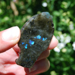Labradorite Carved Crystal Goldfish Realistic 