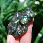 Labradorite Carved Crystal Goldfish Realistic 
