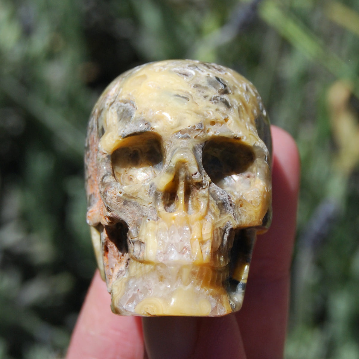 Crazy Lace Agate Crystal Skull Realistic Gemstone Carving