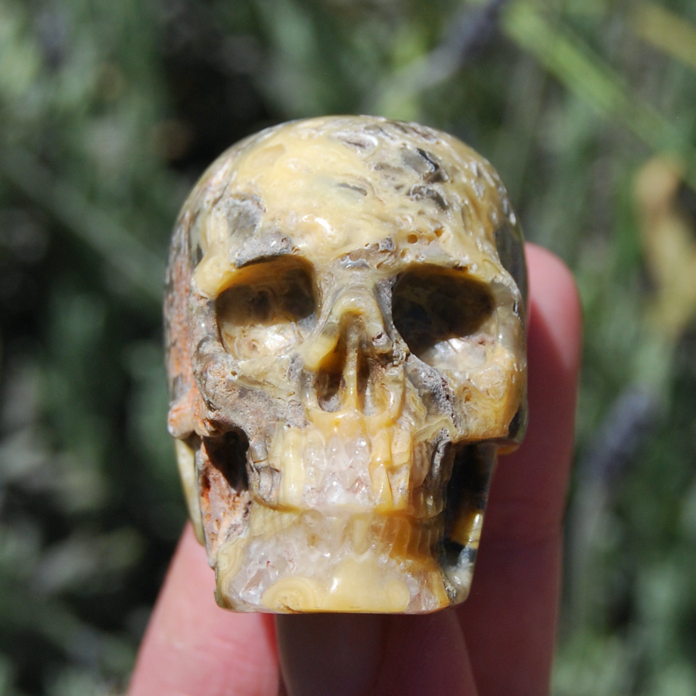 Crazy Lace Agate Crystal Skull Realistic Gemstone Carving