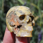 Crazy Lace Agate Crystal Skull Realistic Gemstone Carving
