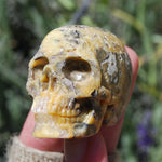 Crazy Lace Agate Crystal Skull Realistic Gemstone Carving