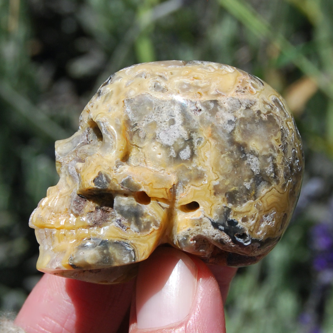 Crazy Lace Agate Crystal Skull Realistic Gemstone Carving