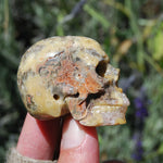 Crazy Lace Agate Crystal Skull Realistic Gemstone Carving