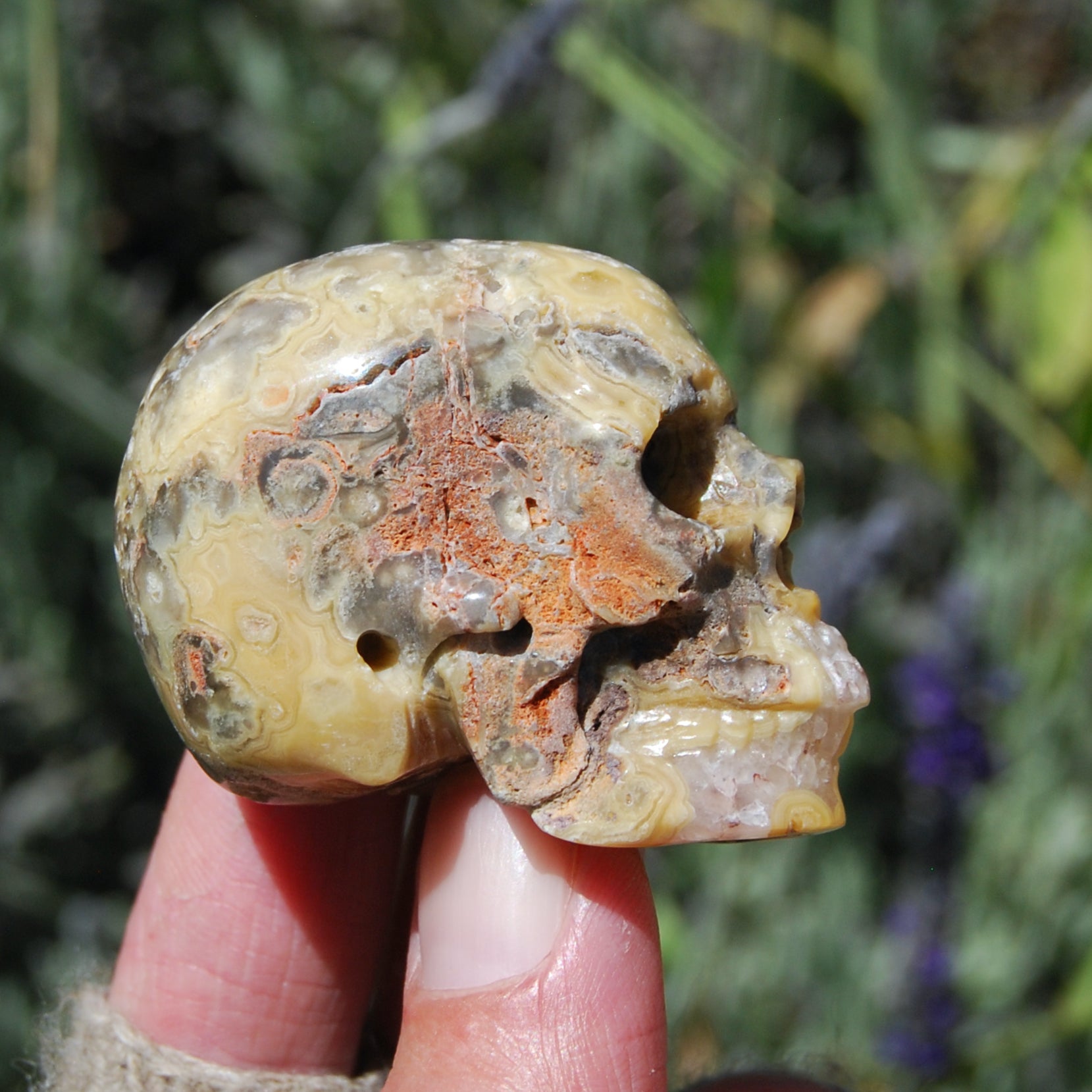 Crazy Lace Agate Crystal Skull Realistic Gemstone Carving