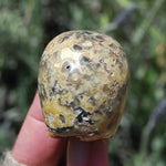 Crazy Lace Agate Crystal Skull Realistic Gemstone Carving