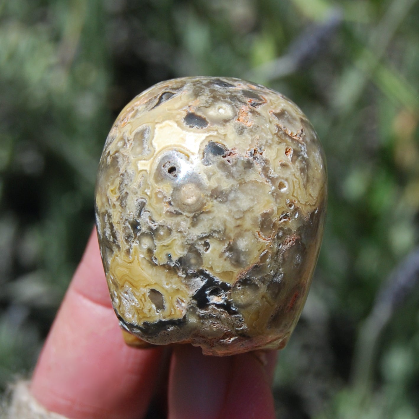 Crazy Lace Agate Crystal Skull Realistic Gemstone Carving