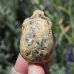 Crazy Lace Agate Crystal Skull Realistic Gemstone Carving