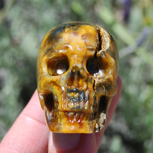 Blue Pietersite Carved Crystal Skull Realistic Gemstone Carving