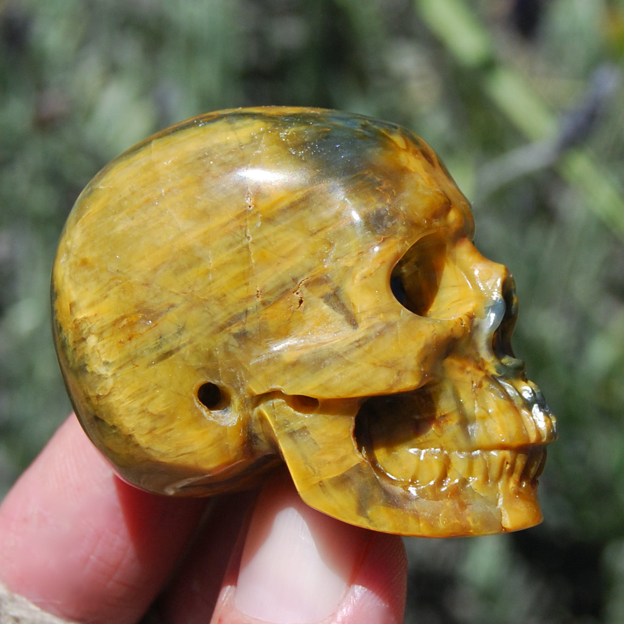 Blue Pietersite Carved Crystal Skull Realistic Gemstone Carving