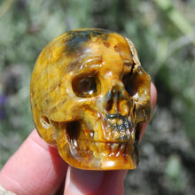 Load image into Gallery viewer, Blue Pietersite Carved Crystal Skull Realistic Gemstone Carving
