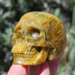 Pietersite Carved Crystal Skull Realistic Gemstone Carving