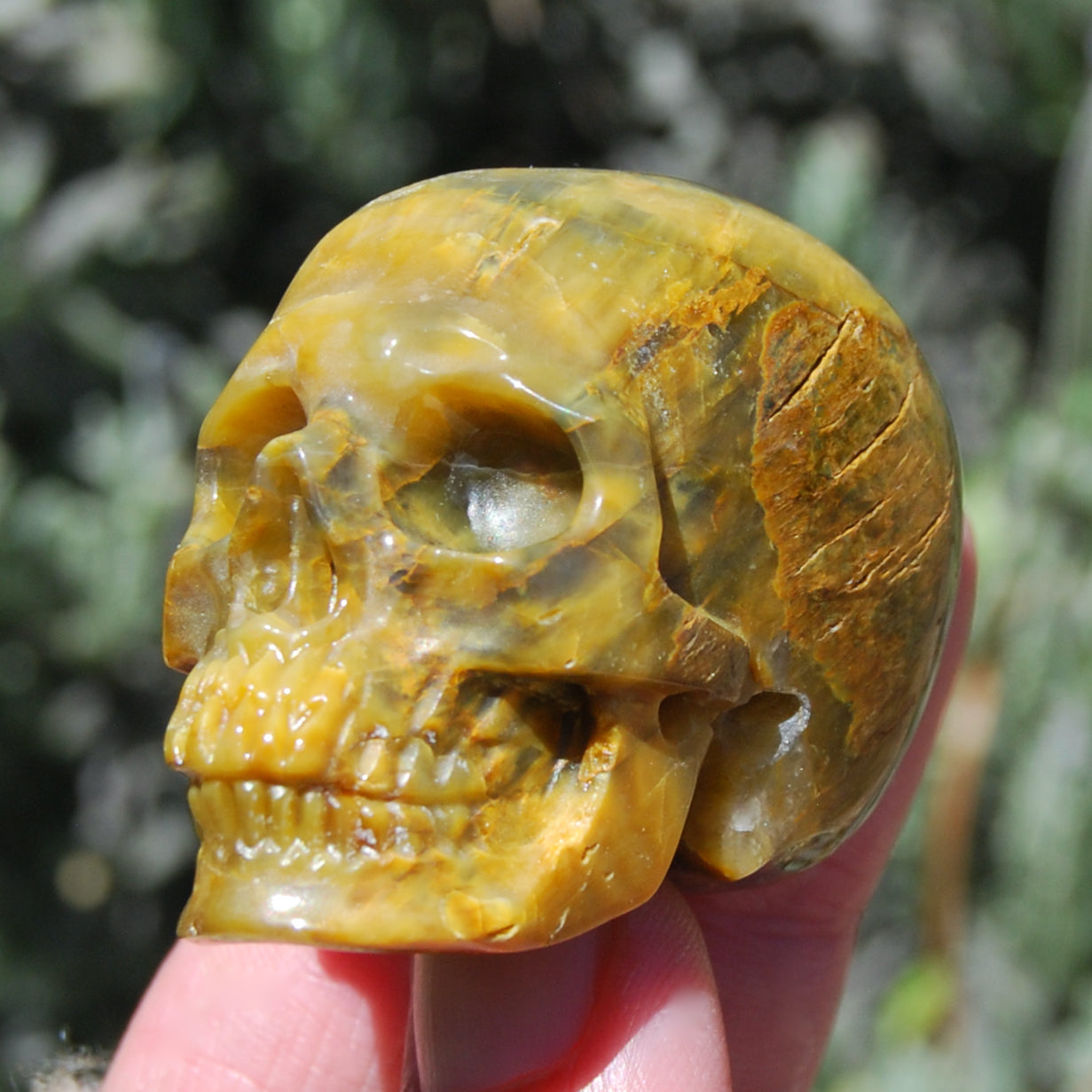 Pietersite Carved Crystal Skull Realistic Gemstone Carving