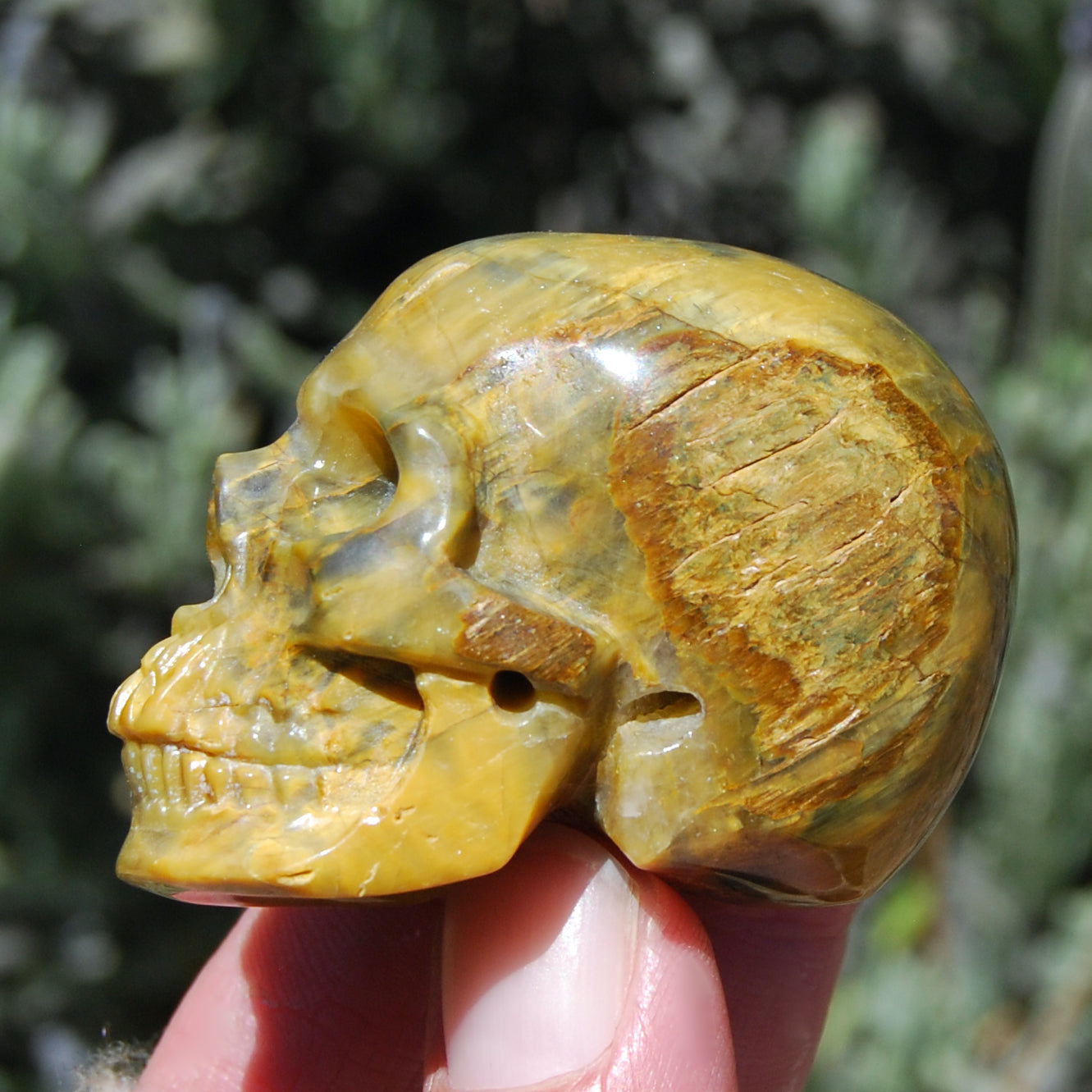 Pietersite Carved Crystal Skull Realistic Gemstone Carving