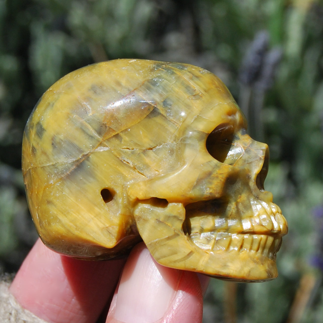 Pietersite Carved Crystal Skull Realistic Gemstone Carving