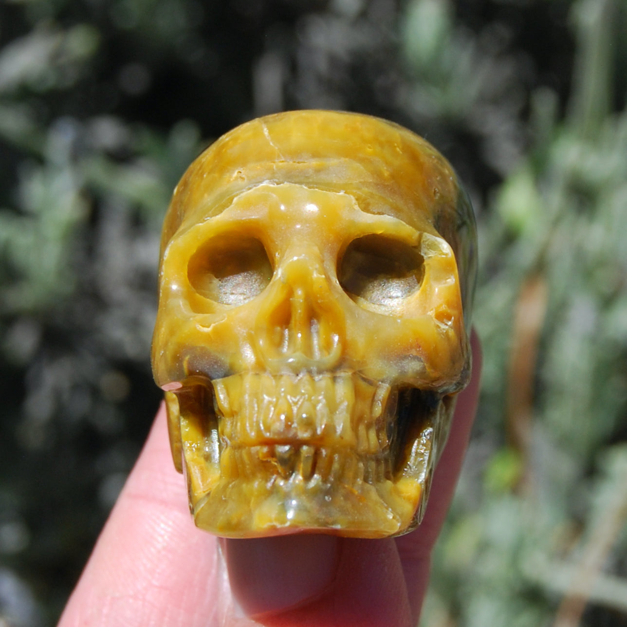 Pietersite Carved Crystal Skull Realistic Gemstone Carving