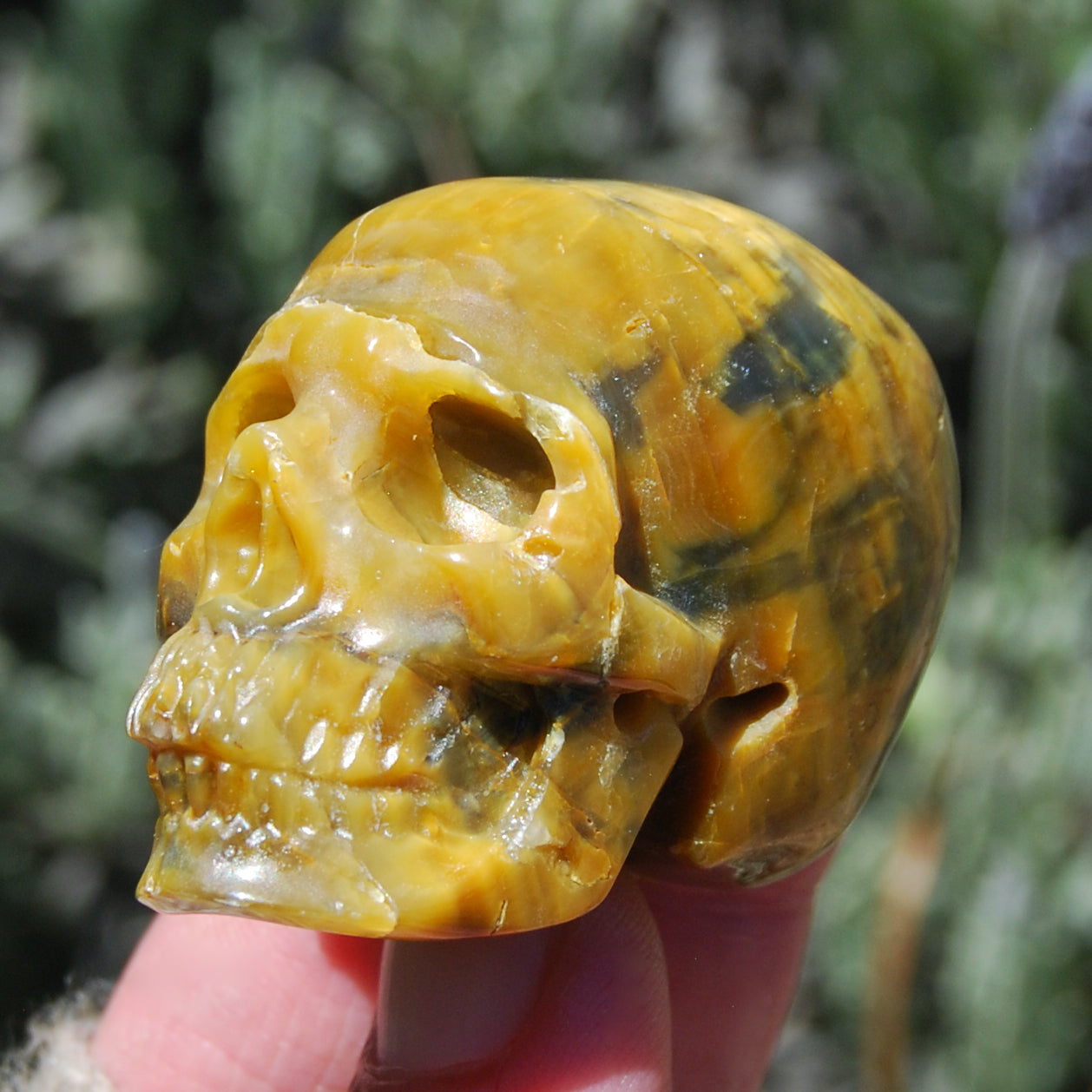 Pietersite Carved Crystal Skull Realistic Gemstone Carving