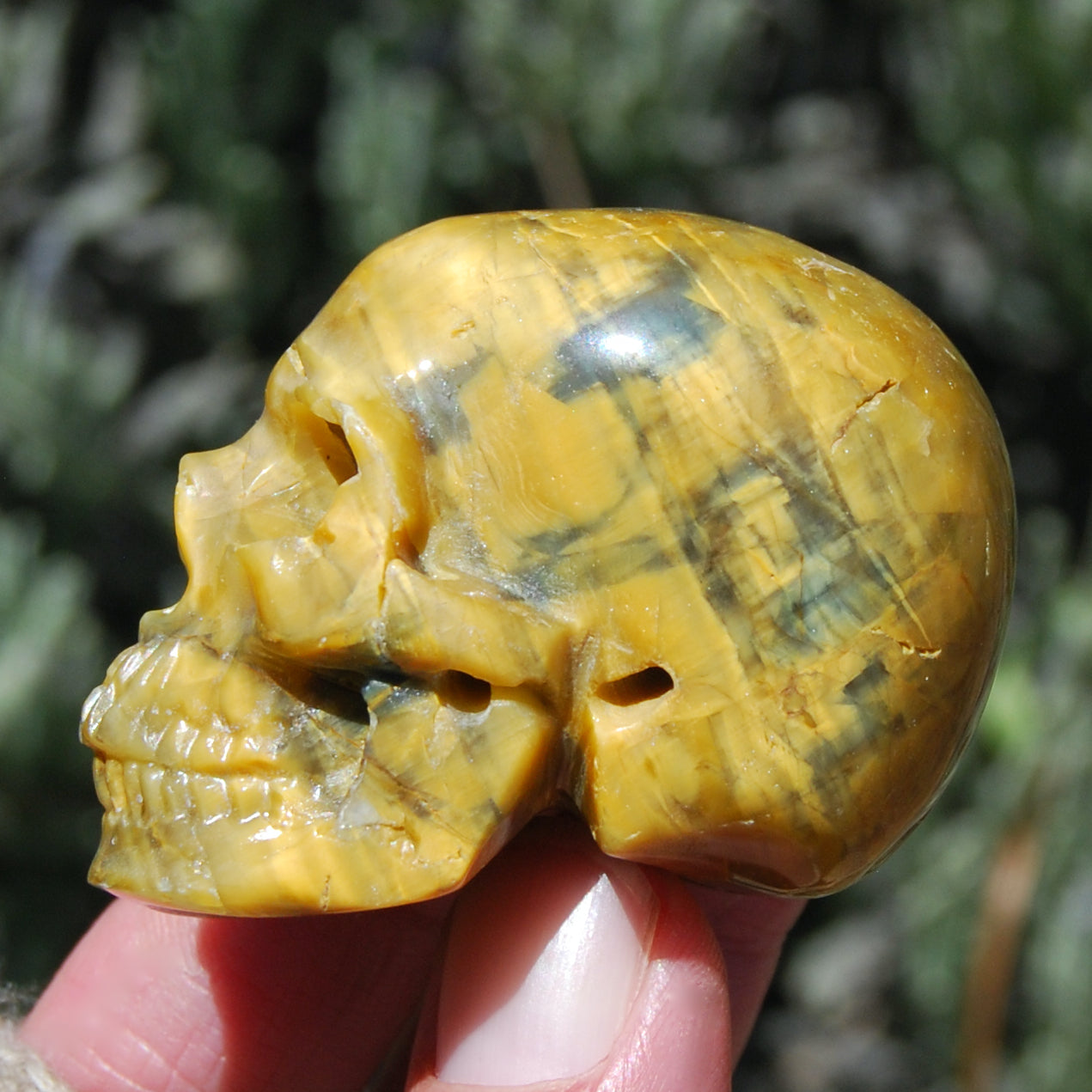 Pietersite Carved Crystal Skull Realistic Gemstone Carving
