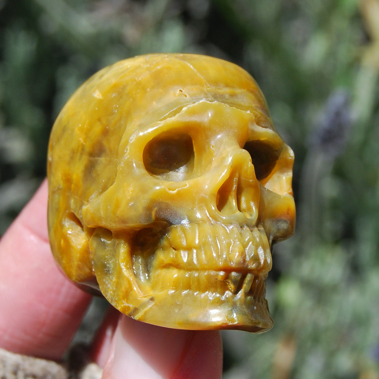 Pietersite Carved Crystal Skull Realistic Gemstone Carving