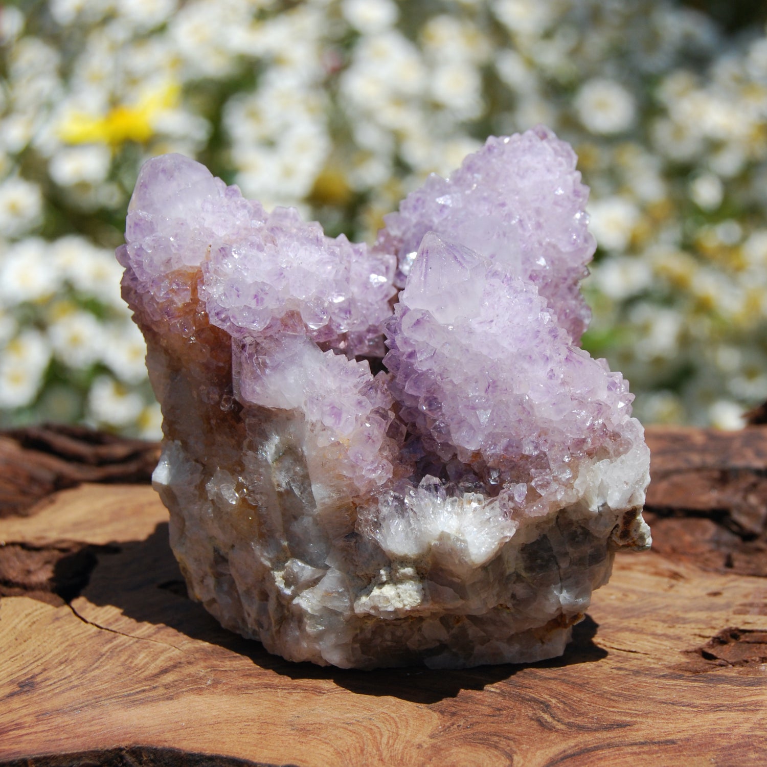 Amethyst Spirit Quartz Crystal Cluster, South Africa