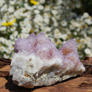 Amethyst Spirit Quartz Crystal Cluster, South Africa