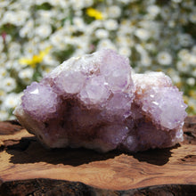 Load image into Gallery viewer, Amethyst Spirit Quartz Crystal Cluster, South Africa
