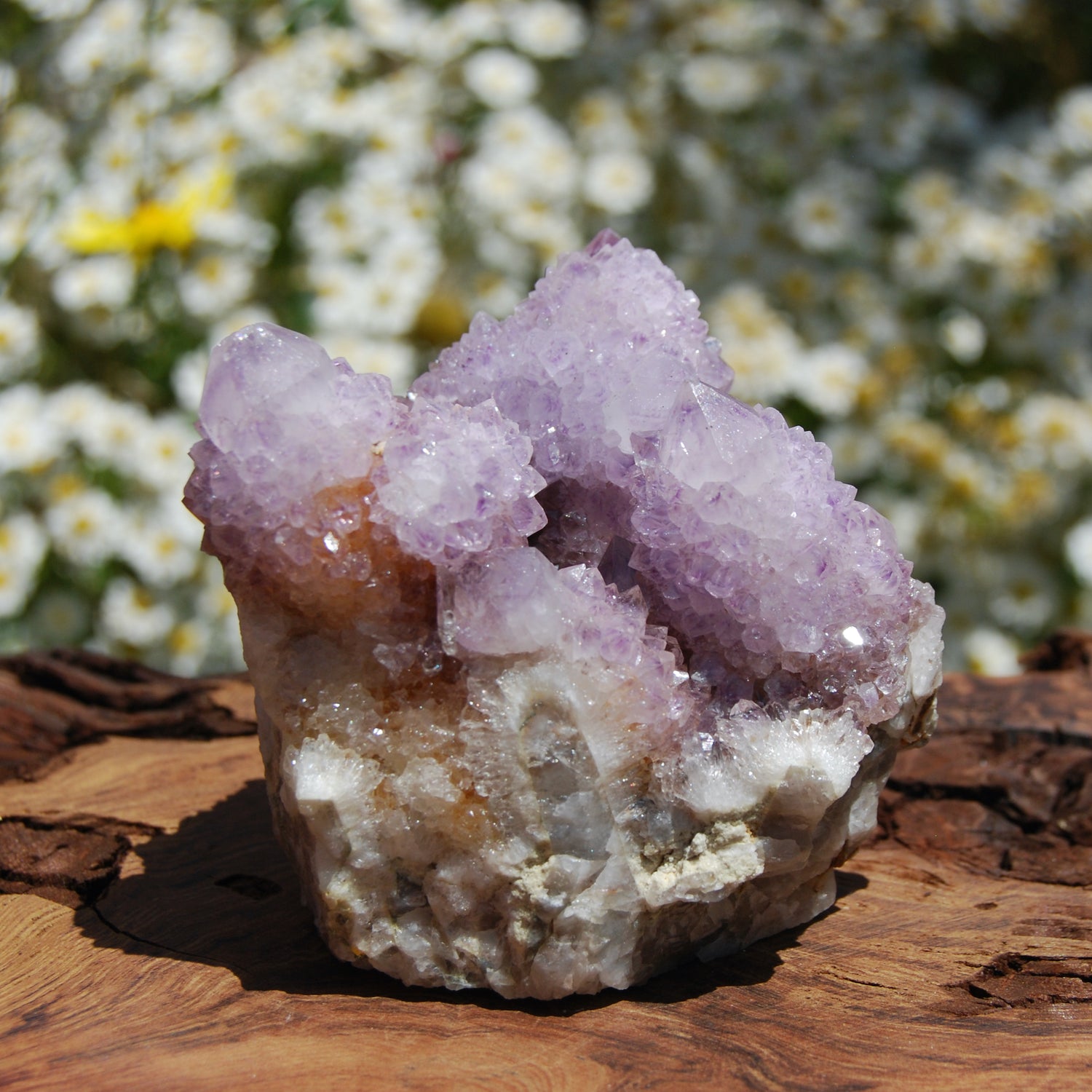 Amethyst Spirit Quartz Crystal Cluster, South Africa
