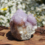 Amethyst Spirit Quartz Crystal Cluster, South Africa