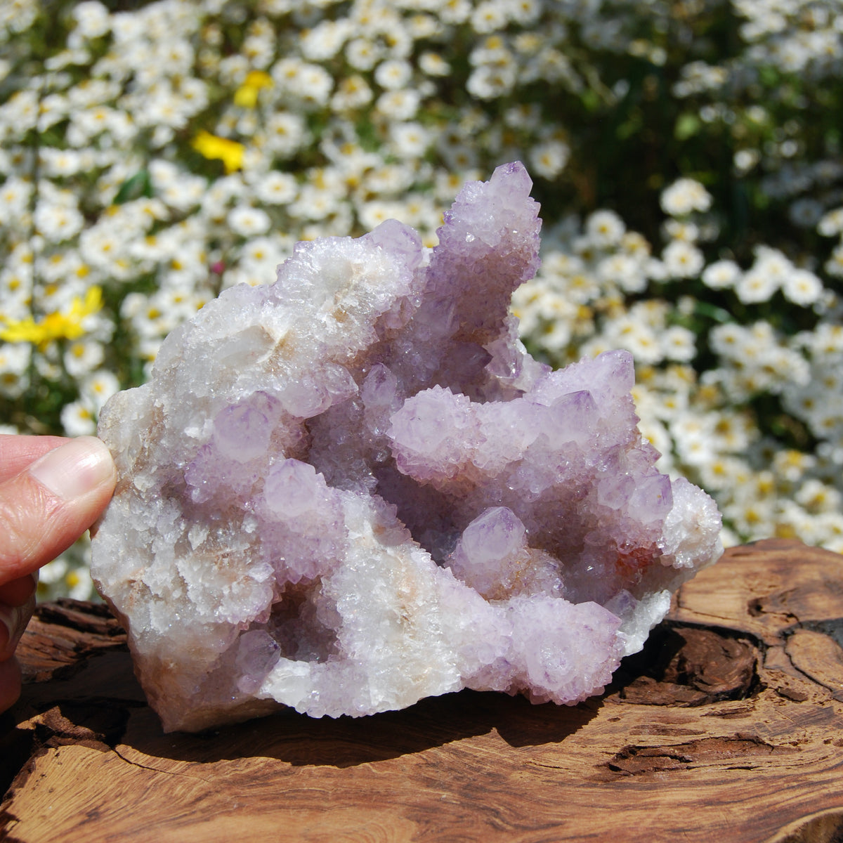 Spirit Quartz, Large Amethyst Spirit Quartz Crystal Cluster, South Africa