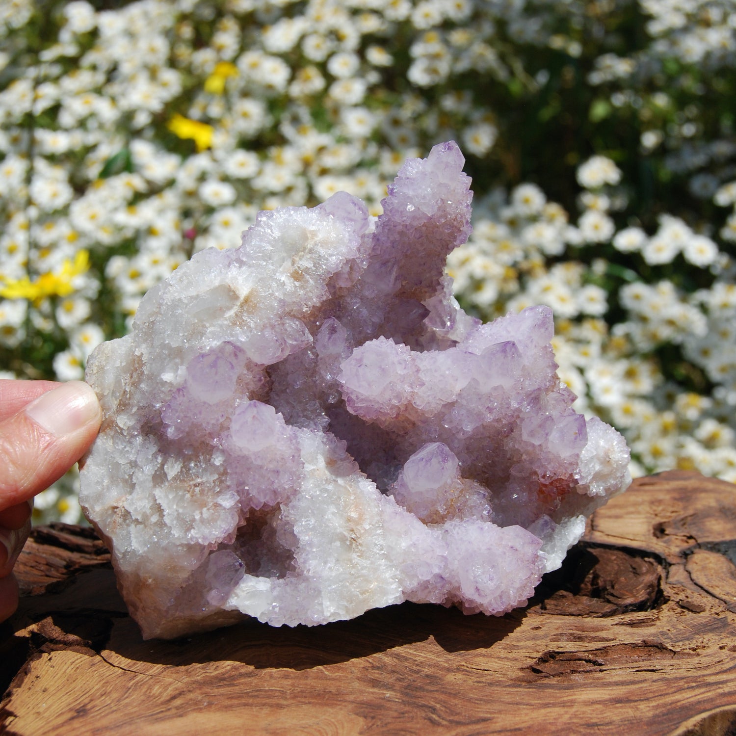 Spirit Quartz, Large Amethyst Spirit Quartz Crystal Cluster, South Africa